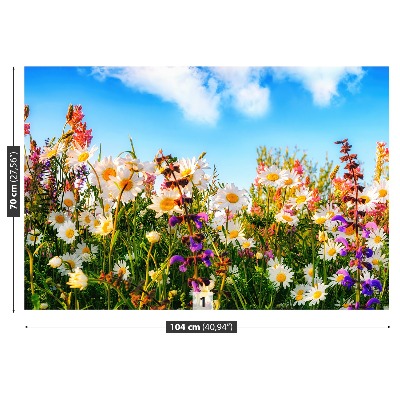 Bildtapete Frühlingsblumen