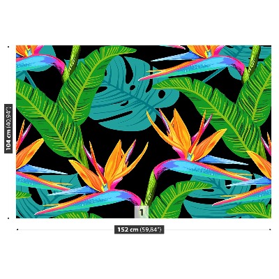 Motivtapete Tropische blumen