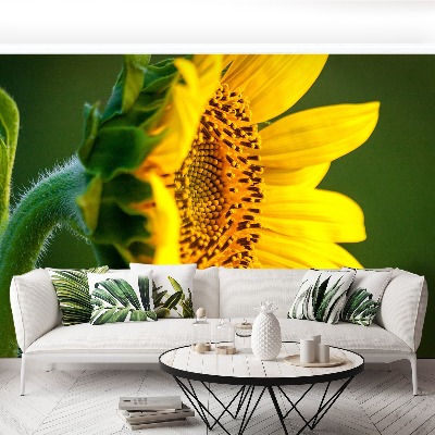 Bildtapete Sonnenblume