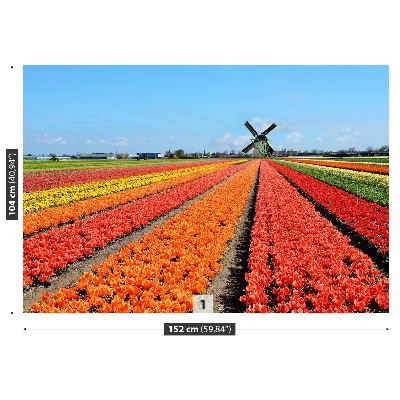 Fototapete Windmühle tulpen
