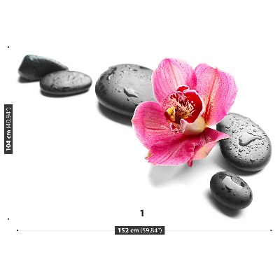 Bildtapete Orchidee steine