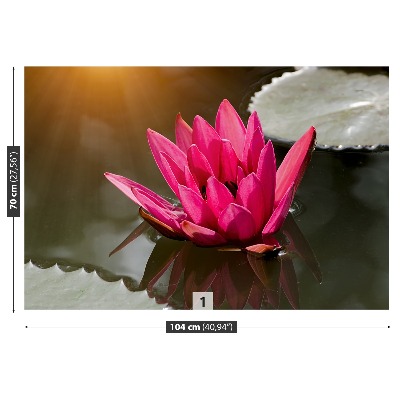 Bildtapete Wasser-lilien-rosa
