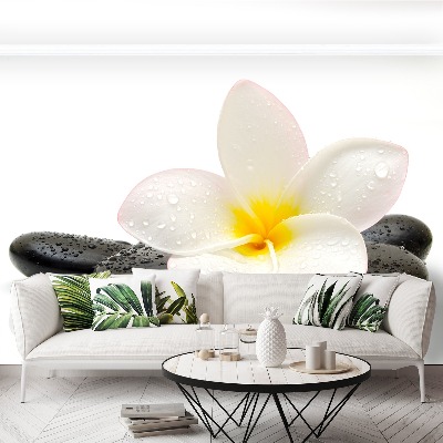 Bildtapete Plumeria steine