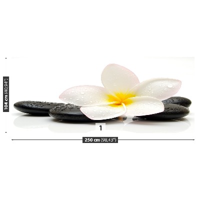 Bildtapete Plumeria steine