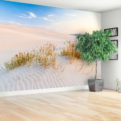 Fototapete Seedünen