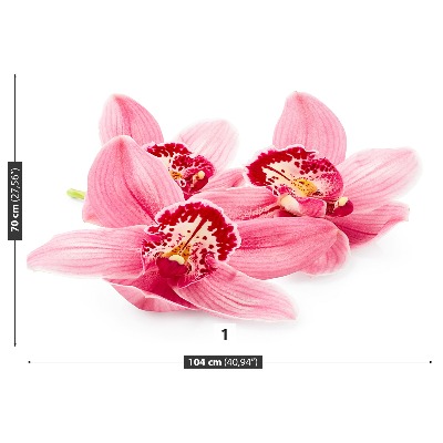 Bildtapete Rosa orchidee