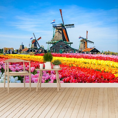 Fototapete Tulpen windmühlen