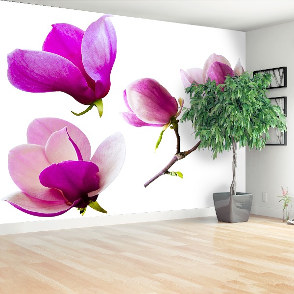 Bildtapete Magnolienblüten