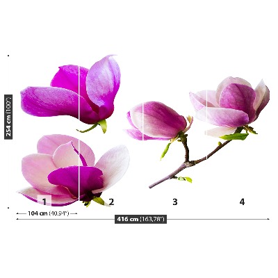 Bildtapete Magnolienblüten