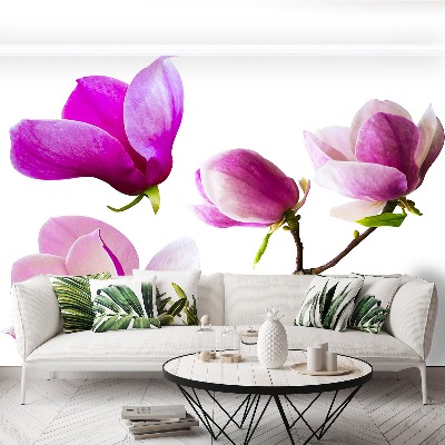 Bildtapete Magnolienblüten