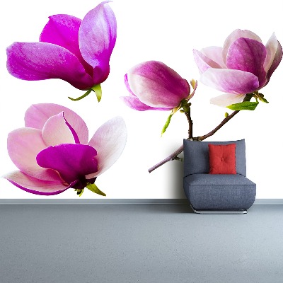 Bildtapete Magnolienblüten