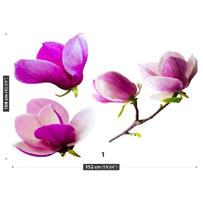 Bildtapete Magnolienblüten