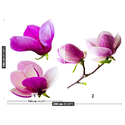 Bildtapete Magnolienblüten