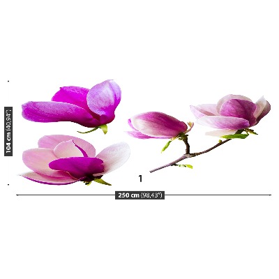 Bildtapete Magnolienblüten