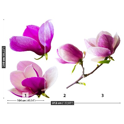 Bildtapete Magnolienblüten