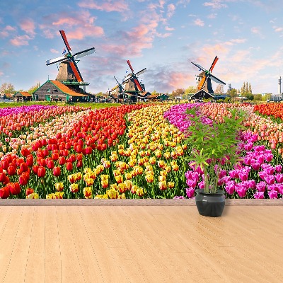 Wandtapete Tulpen windmühlen
