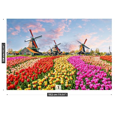 Wandtapete Tulpen windmühlen