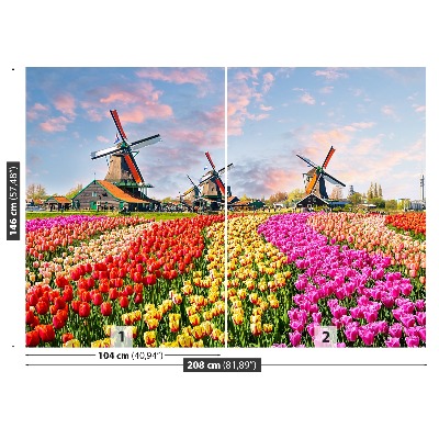 Wandtapete Tulpen windmühlen