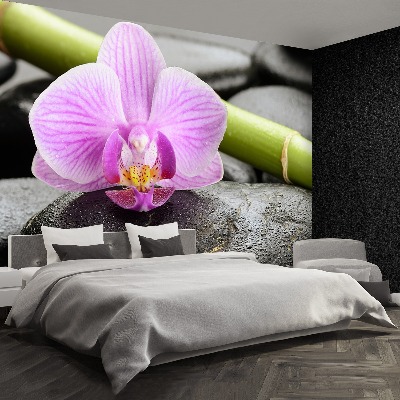 Bildtapete Orchidee steine
