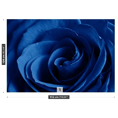 Bildtapete Blaue rose