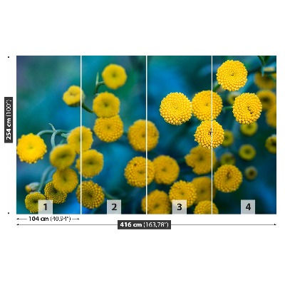 Bildtapete Gelbe blumen