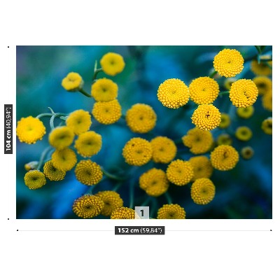 Bildtapete Gelbe blumen