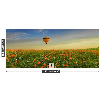 Bildtapete Wiese ballon