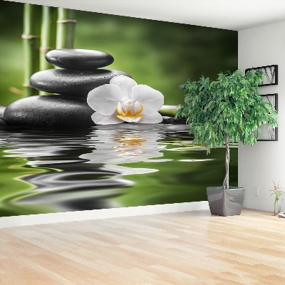 Bildtapete Orchid und zen