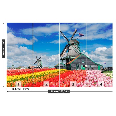 Wandtapete Niederlande windmühlen