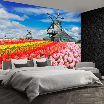 Wandtapete Niederlande windmühlen