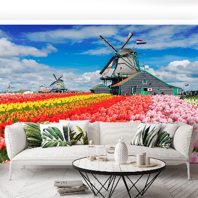 Wandtapete Niederlande windmühlen