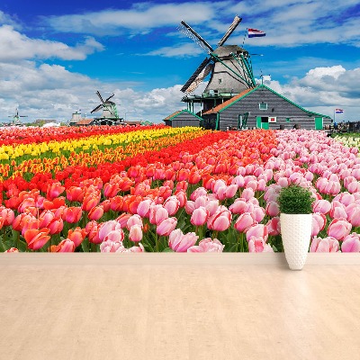 Wandtapete Niederlande windmühlen