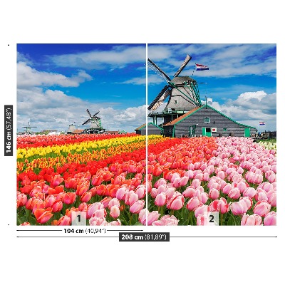 Wandtapete Niederlande windmühlen