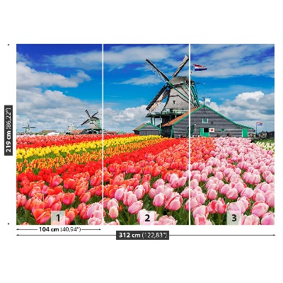Wandtapete Niederlande windmühlen