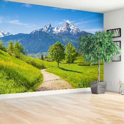 Wandtapete Sommer alpen