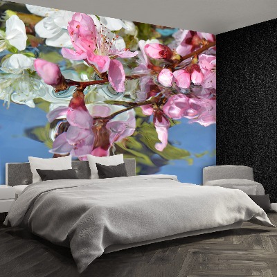 Bildtapete Kirschblüte wasser