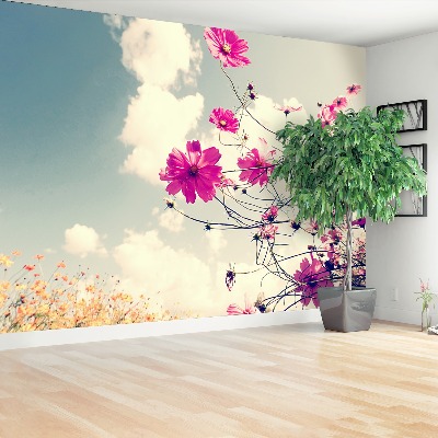 Motivtapete Blumen kosmos