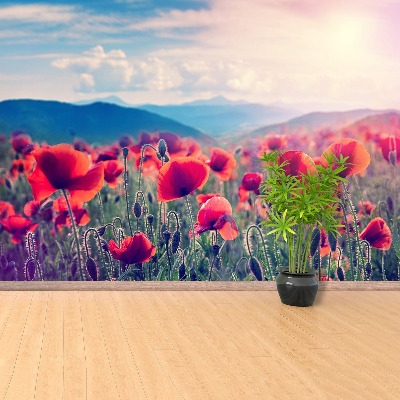 Wandtapete Mohnblumen