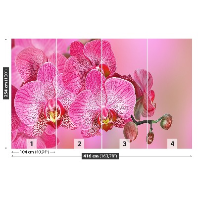 Motivtapete Rosa orchidee