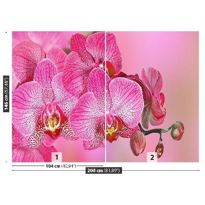 Motivtapete Rosa orchidee