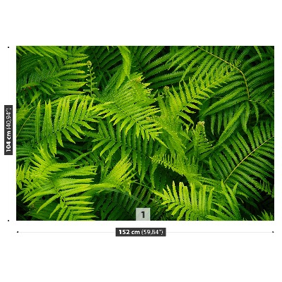 Motivtapete Farn-grün