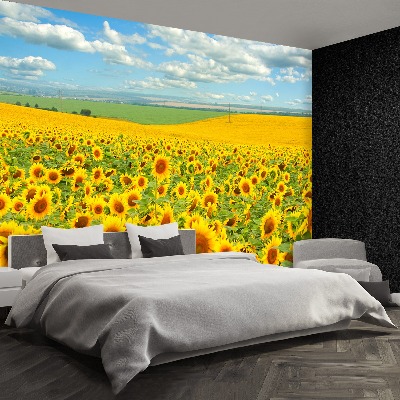 Wandtapete Feld von sonnenblumen