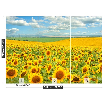 Wandtapete Feld von sonnenblumen