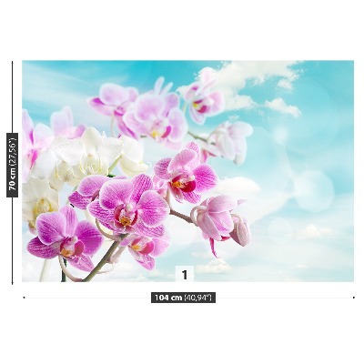 Motivtapete Blaue orchideen