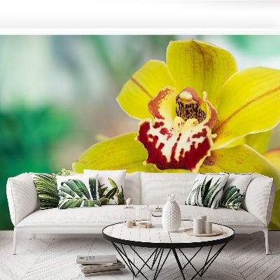 Motivtapete Gelbe orchidee