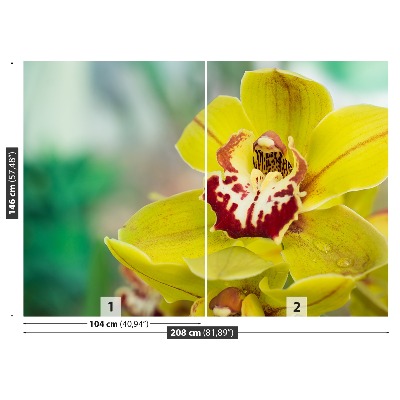 Motivtapete Gelbe orchidee