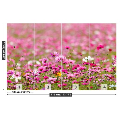 Wandtapete Cosmos blumen