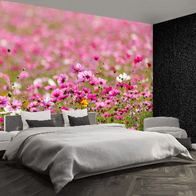 Wandtapete Cosmos blumen