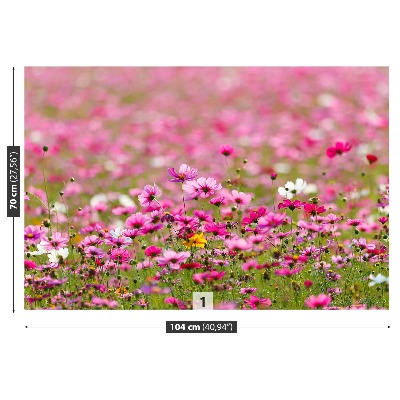 Wandtapete Cosmos blumen