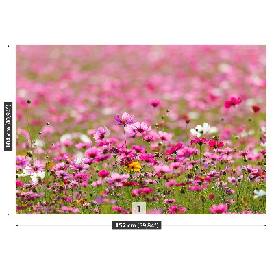 Wandtapete Cosmos blumen